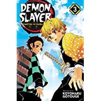 Demon Slayer: Kimetsu no Yaiba- Vol. 3